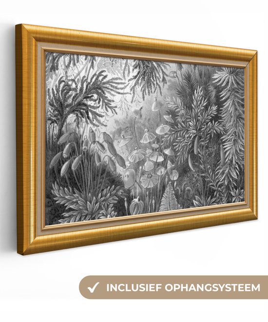 Oeuvre de Peinture sur Toile - Maîtres Anciens - Cadres - Or - 90x60 cm - Art Décoration murale