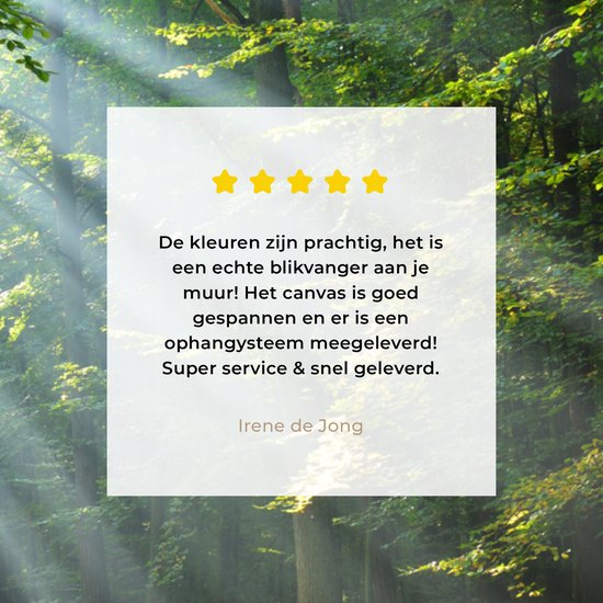Een sterrenreview van Irene de Jong, die de kleuren prachtig vindt en het canvas een echte blikvanger.