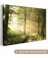 Canvas schilderij 150x100 cm - Wanddecoratie Bos - Zon - Bomen - Muurdecoratie woonkamer - Slaapkamer decoratie - Kamer accessoires - Schilderijen op canvas