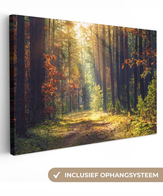 Peintures sur toile Forêt - Arbres - 150x100 cm - Décoration murale