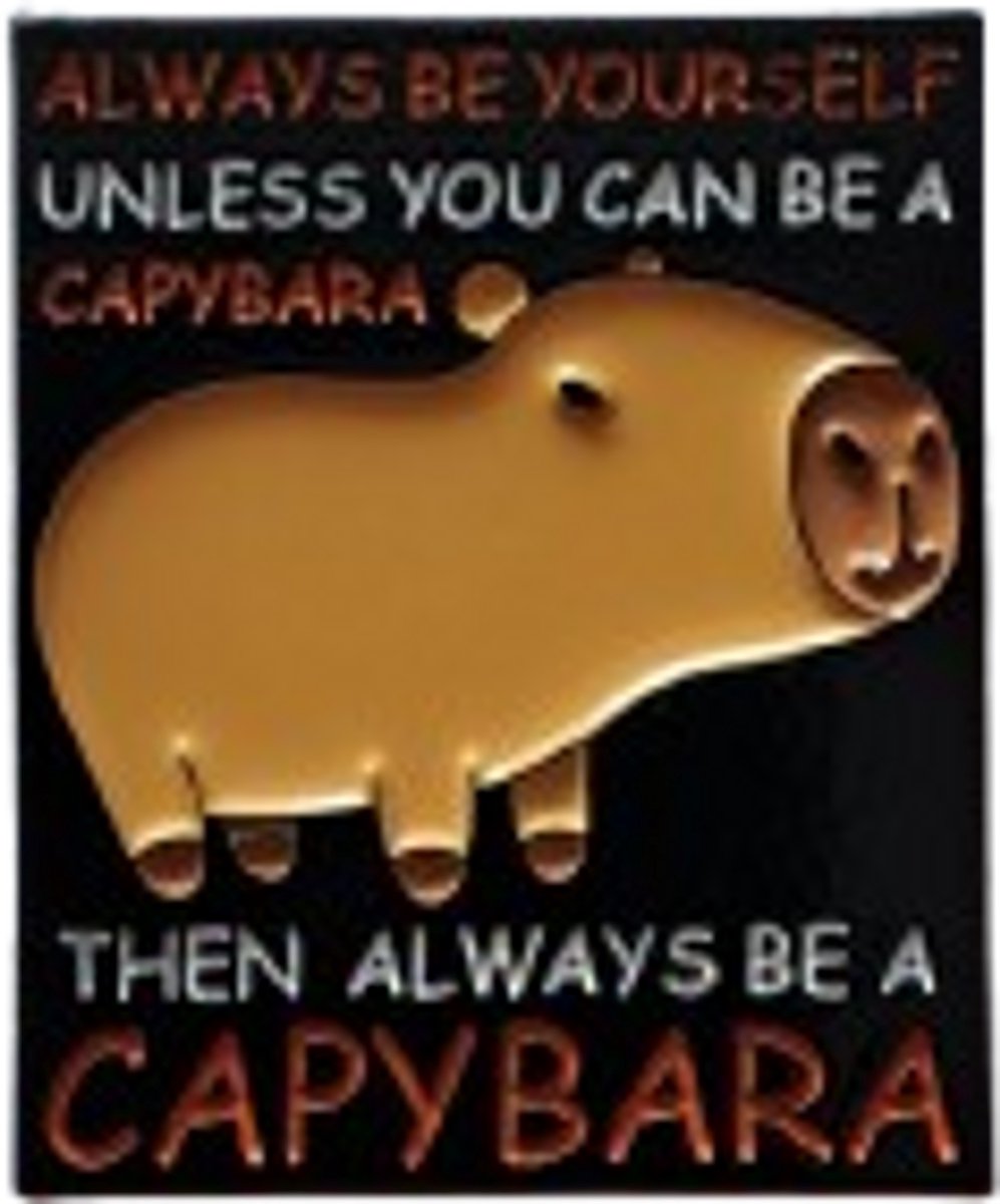 Pin Broche - Always be a capybara - Kledingspeld - dier capy - Speldje voor rugzak of kleding - Kleine cadeautjes - enamel pin - Grappige badge - 1 stuk
