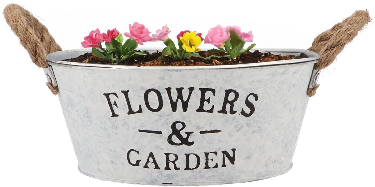 DK Design Plantenpot/bloempot schaal Jardin- zink - wit - D23 x H9 cm