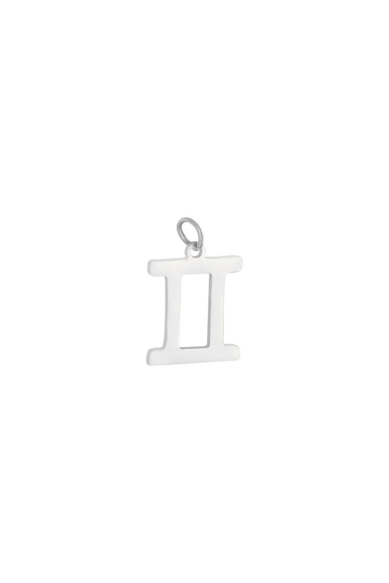 hanger - chinees sterrenbeeld - stainless steel - zilver - kado - kerst