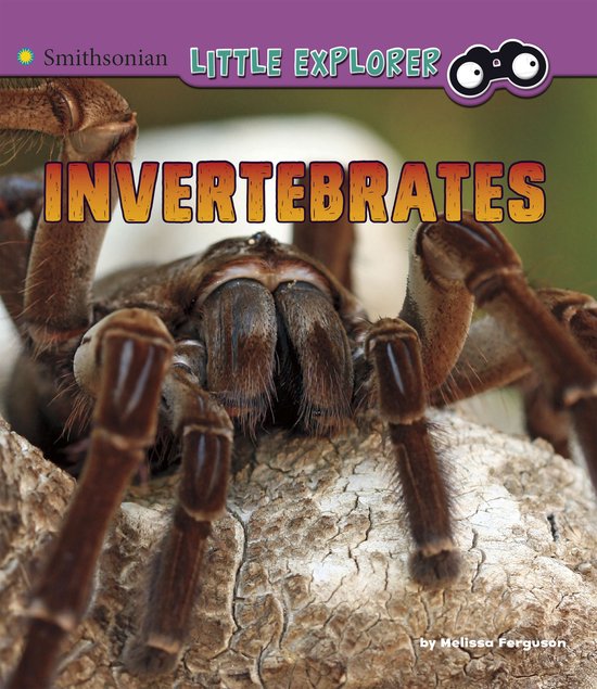 Little Zoologist - Invertebrates