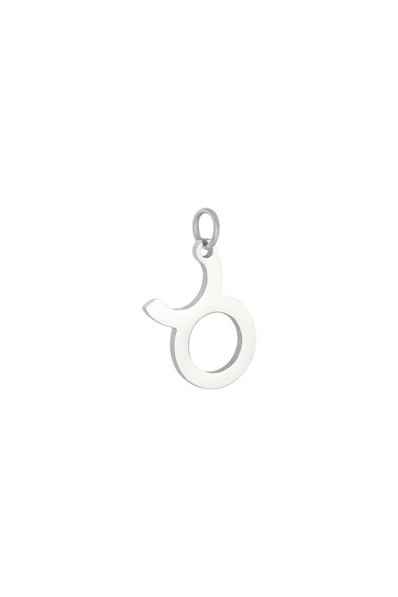 Hanger - chinees sterrenbeeld - stainless steel - zilver - kado - kerst