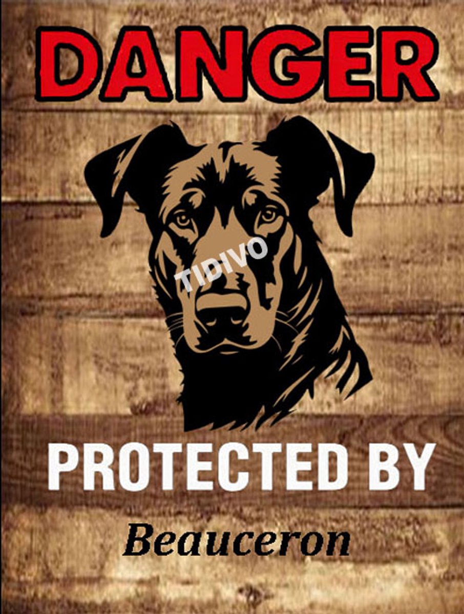 Beauceron 19