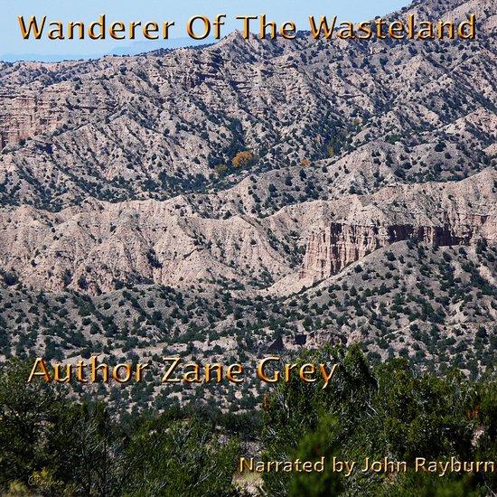 Wanderer of the Wasteland - cover