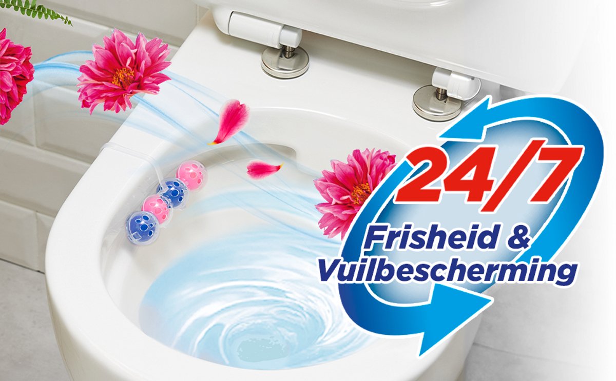 Witte Reus Toilet Blocks 4