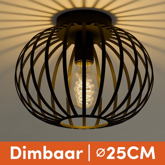 Nolt Plafondlamp Zwart - Plafonniere E27 Lamp - Industrieel - ⌀ 25cm