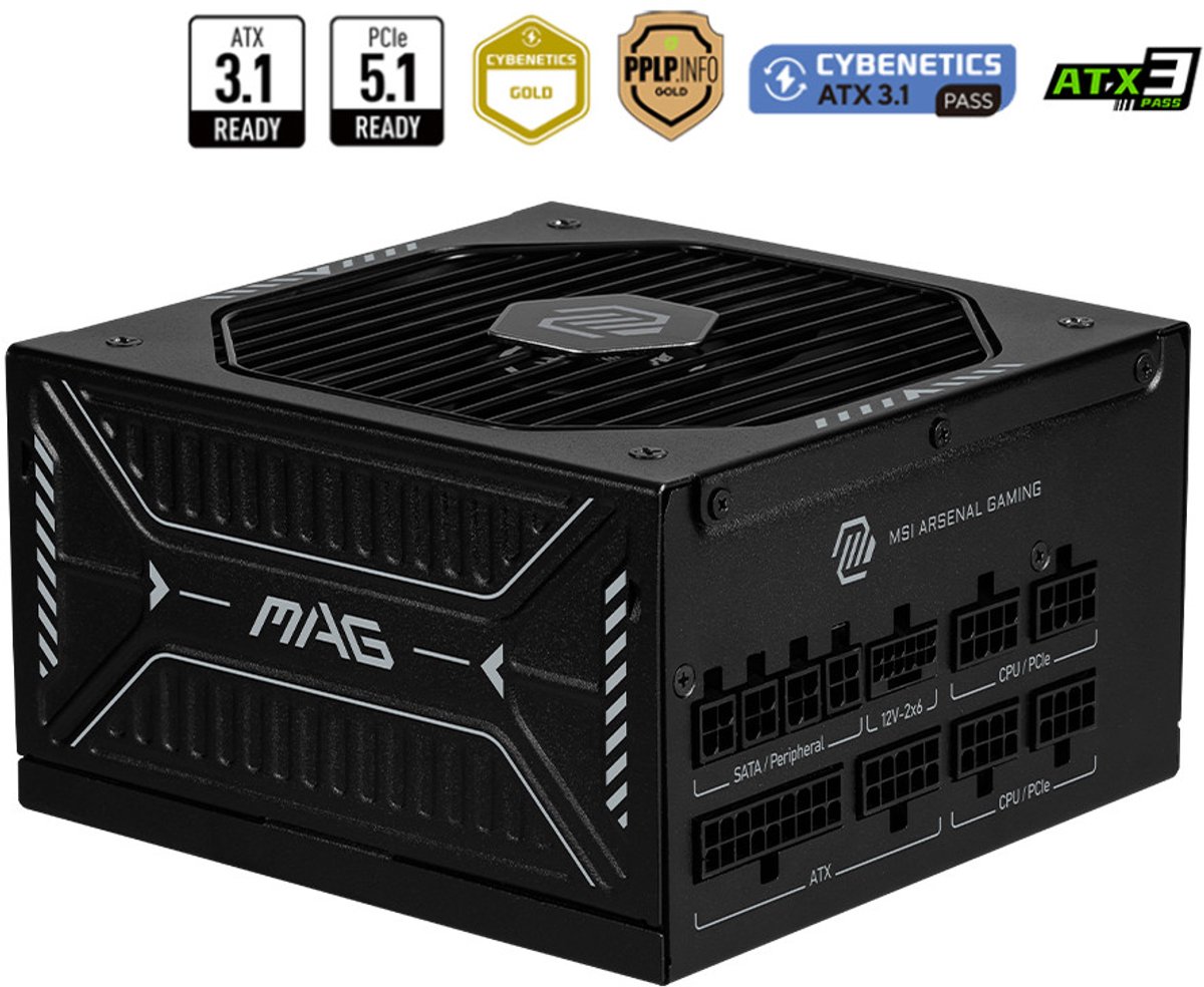 MSI MAG A850GLS PCIE5 - Voeding