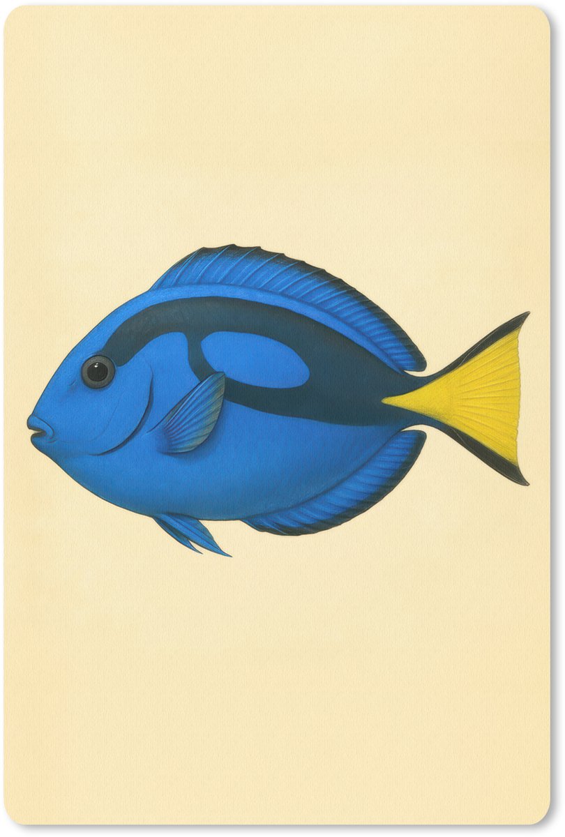 Muismat 18x27 cm - Mousepad Blauw - Dory - Vis - Staartvin - Muismatten