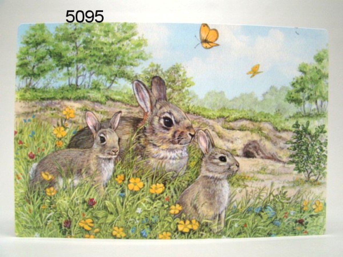 Geharo Placemat konijnen - 41 x 29 cm - gelamineerd