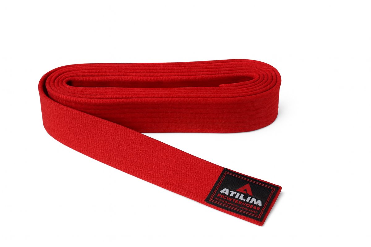 Martial Arts- Karate- Judo -Taekwondo- Professionele banden- Jiu Jitsu -Standaard(rood) 2,88M