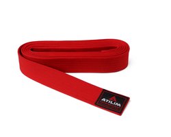 Martial Arts- Karate- Judo -Taekwondo- Professionele banden- Jiu Jitsu -Standaard(rood) 2,88M