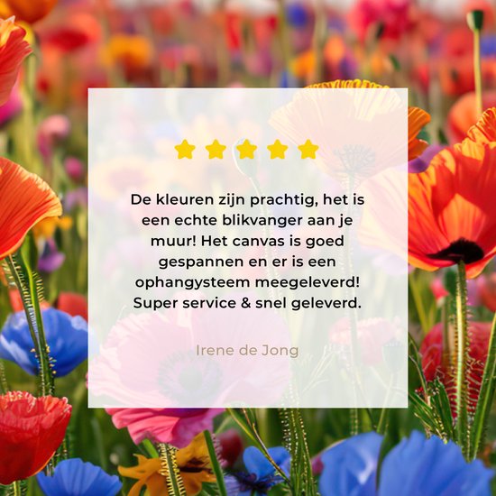 Canvas Schilderij 120x80 cm - Bloemen - Klaprozen - Kleurrijk - Natuur - Wanddecoratie woonkamer - Muurdecoratie keuken - Slaapkamer decoratie - Schilderijen - Woonaccessoires