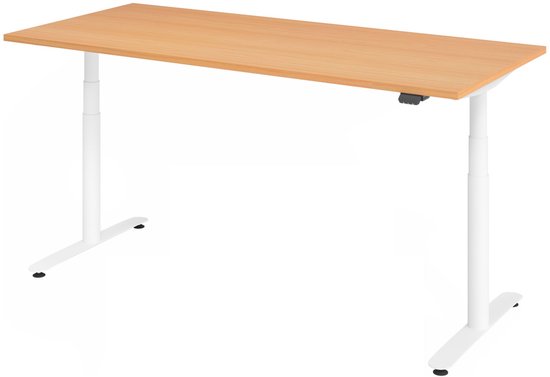 XLR 19W | 180 x 80 | Bureau réglable électriquement en hauteur. - Hêtre 180 x 80 Hauteur de table I Réglable électriquement en hauteur