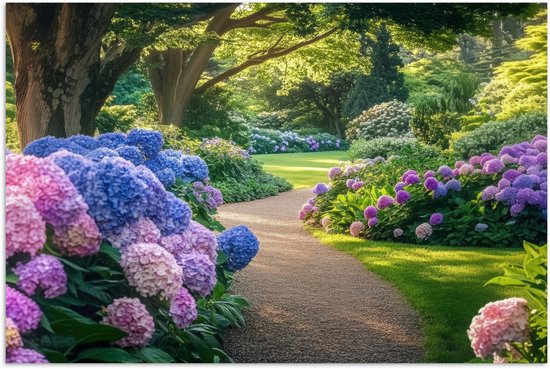 Affiche 90x60 cm - Hortensia - Parc - Chemin - Posters - Décoration chambre - Décoration murale salon - Décoration murale chambre