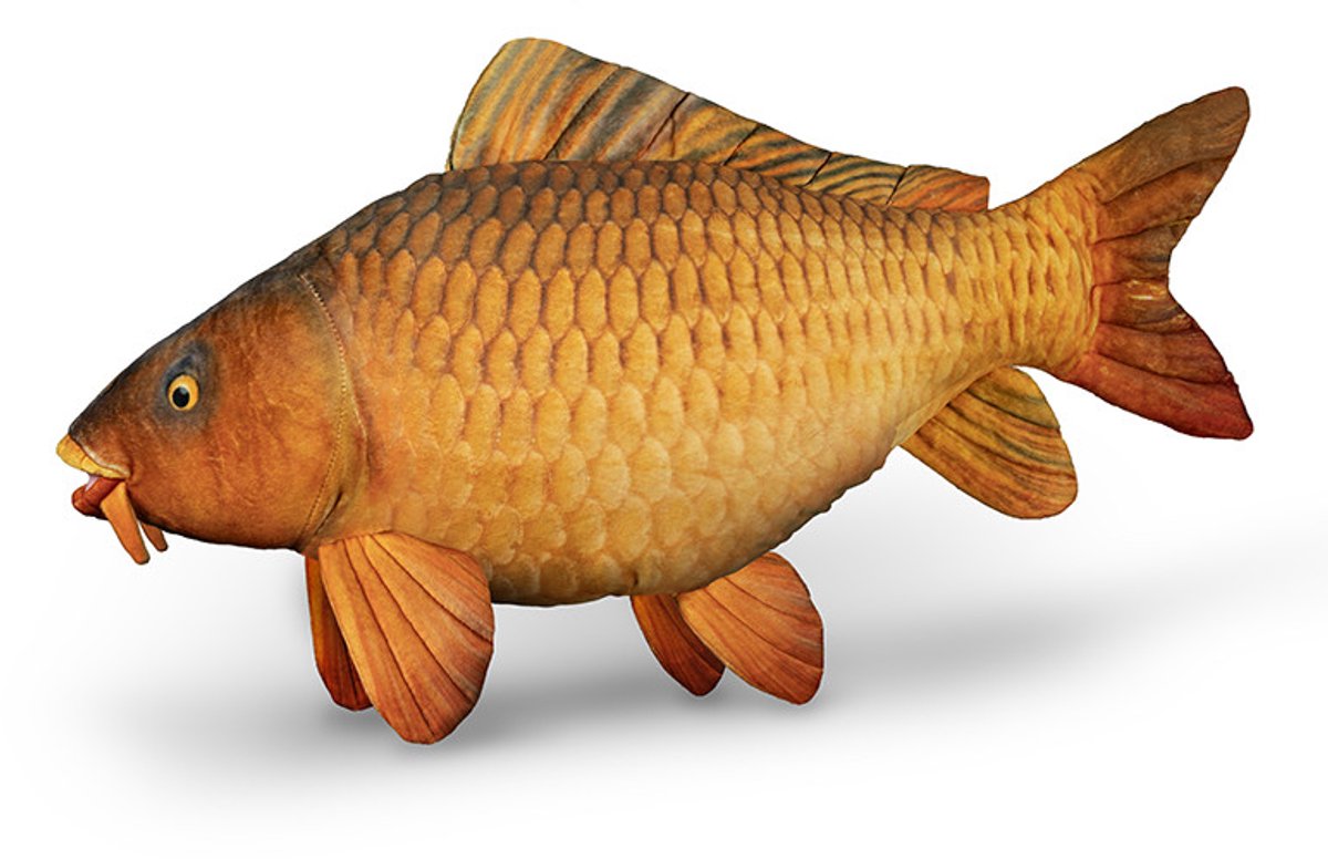 Delphin - CARPY - 60 cm – Zachte Karper Knuffel