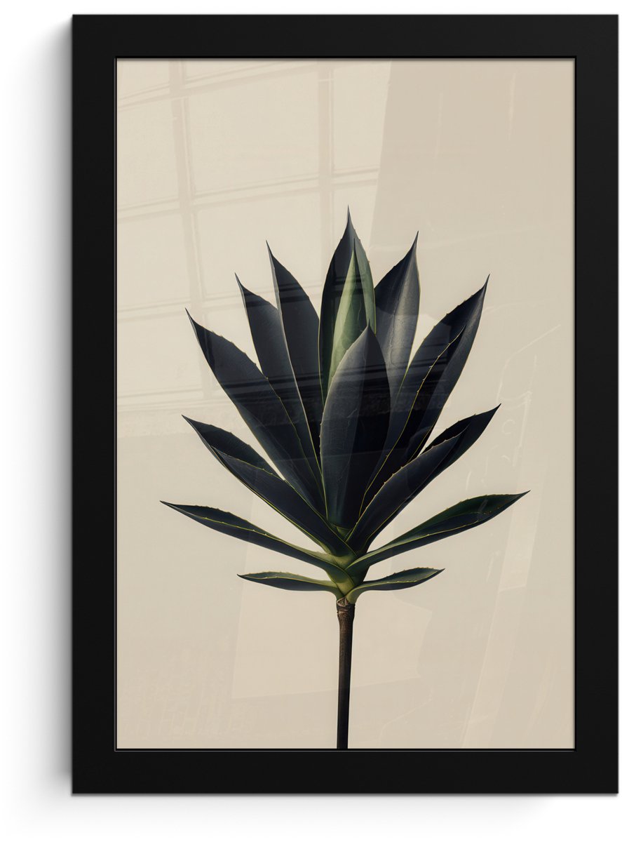 FrameYourWall Poster in lijst - Fotolijst 20x30 cm - Posters - Agaveplant - Symmetrisch - Groen - Posterlijst zwart - Decoratie - Wanddecoratie woonkamer - Muurdecoratie slaapkamer