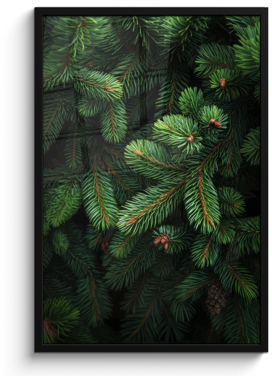 FrameYourWall Poster in lijst - Fotolijst 60x90 cm - Posters - Sparrentakken - Knoppen - Naalden - Groen - Posterlijst zwart - Decoratie - Wanddecoratie woonkamer - Muurdecoratie slaapkamer