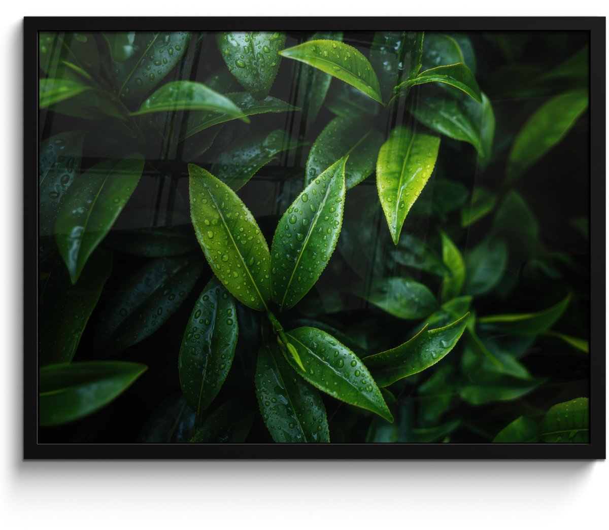 FrameYourWall Poster in lijst - Fotolijst 80x60 cm - Posters - Bladeren - Regendruppels - Licht - Groen - Posterlijst zwart - Decoratie - Wanddecoratie woonkamer - Muurdecoratie slaapkamer