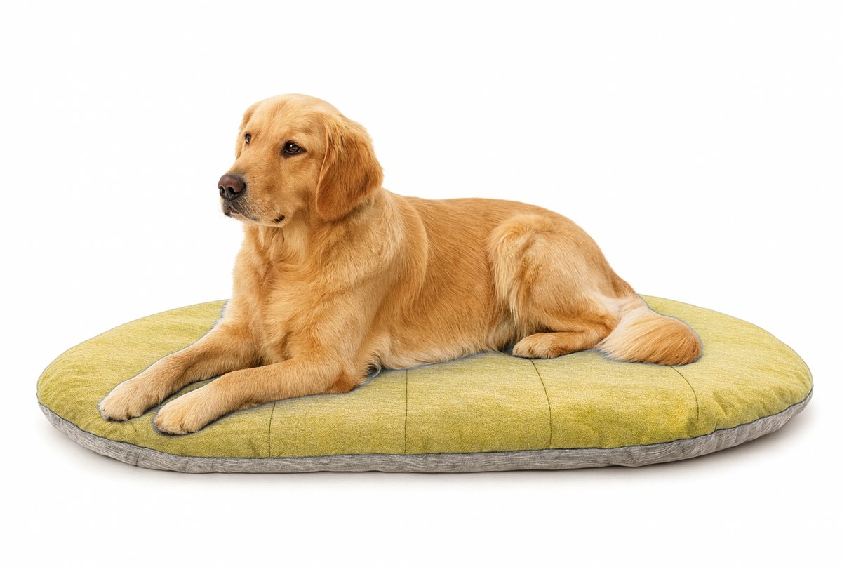 HiPet® Hondenmand / Hondenkussen / Hondenbed – Omkeerbaar & Waterdicht (91x65 cm) - Groen