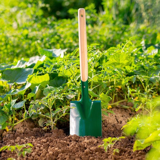 KADAX Spaden, tuinspade van metaal, grafschep met steel van hout, om te graven, gereedschap voor tuin, reizen, robuuste grafspatten, plantenspatten, tuingereedschap (groen) van Merkloos	 — afbeelding 3
