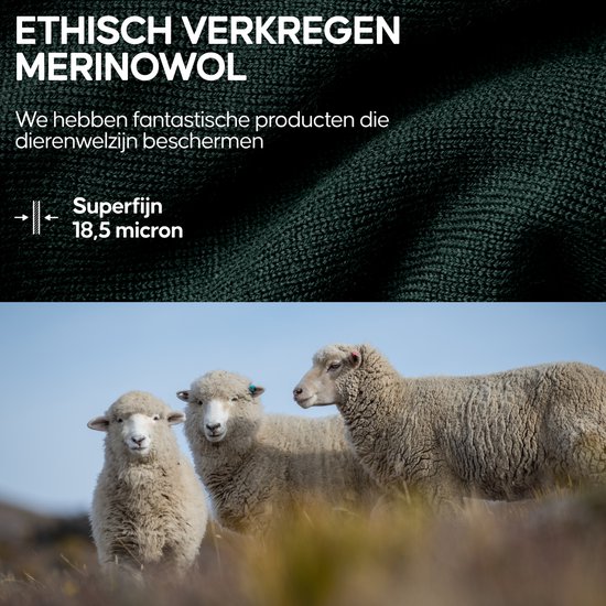 Groene merinowol stof textuur met drie schapen op een heuvel.