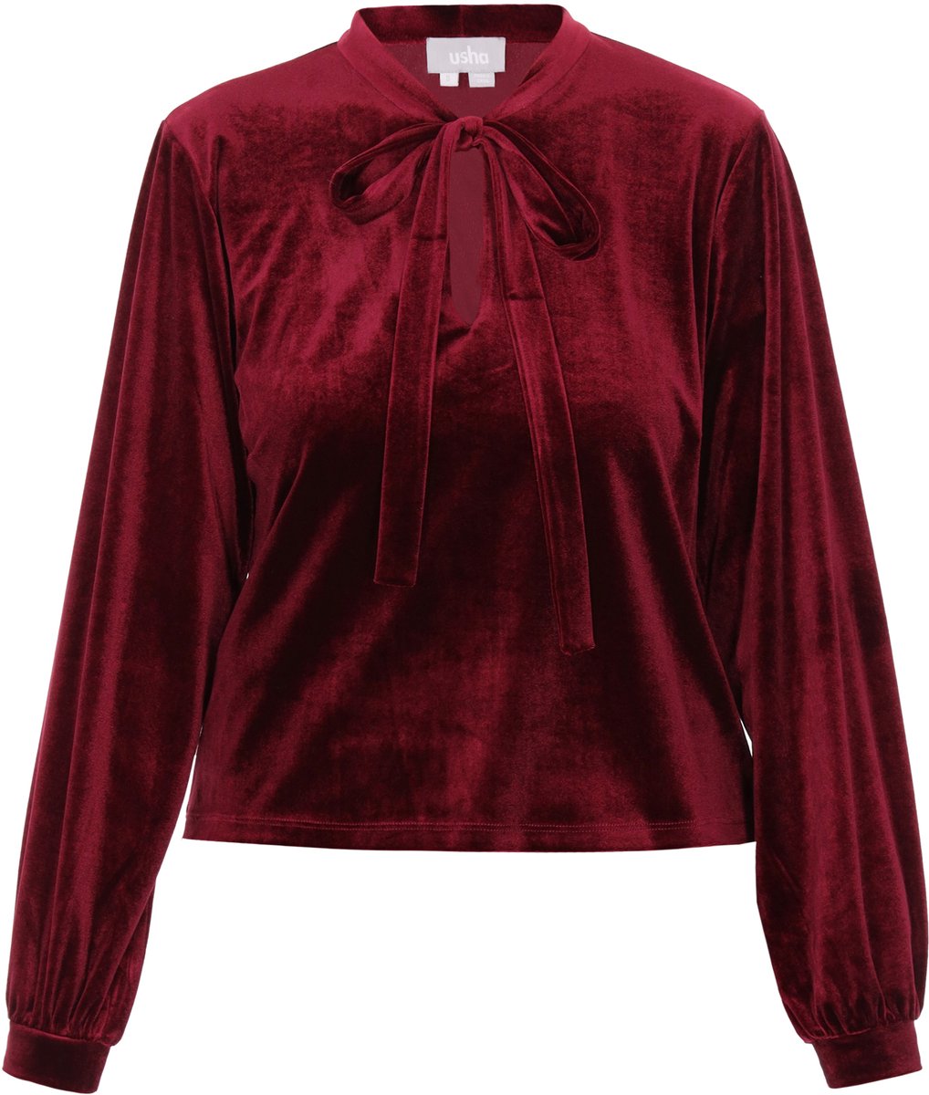 usha Blouse
