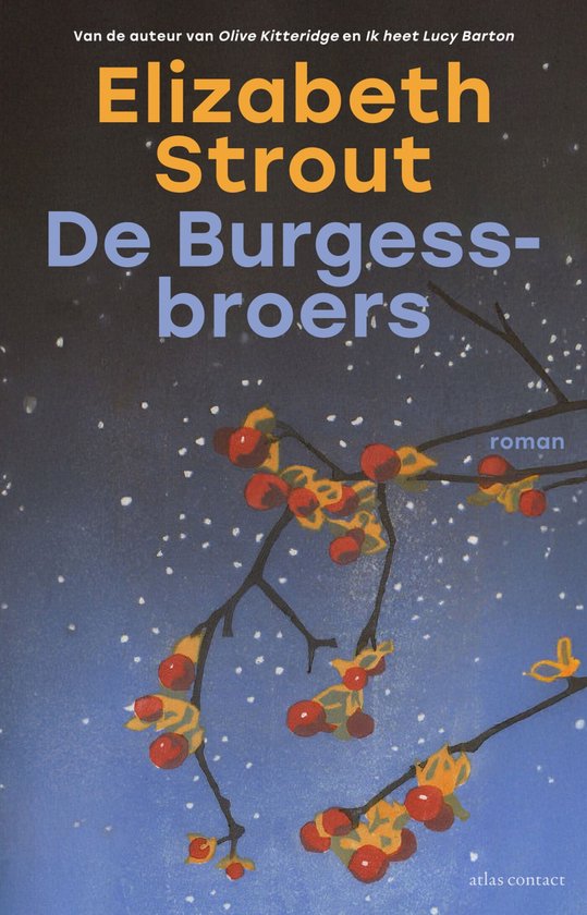 Lucy Barton 6 - De Burgess-broers - cover