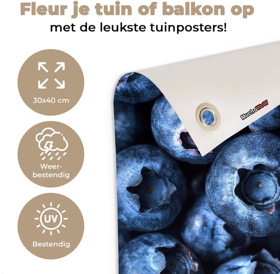 Tuinposter 30x40 cm - Tuindecoratie Bessen - Blauw - Fruit - Poster voor in de tuin - Buiten decoratie - Schutting tuinschilderij - Tuindoek muurdecoratie - Wanddecoratie balkondoek