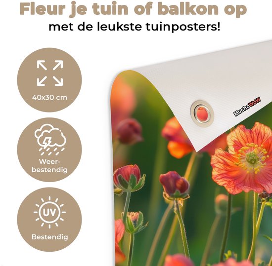 Tuinposter 40x30 cm - Tuindecoratie Bloemenveld - Zonnestralen - Oranje - Poster voor in de tuin - Buiten decoratie - Schutting tuinschilderij - Tuindoek muurdecoratie - Wanddecoratie balkondoek