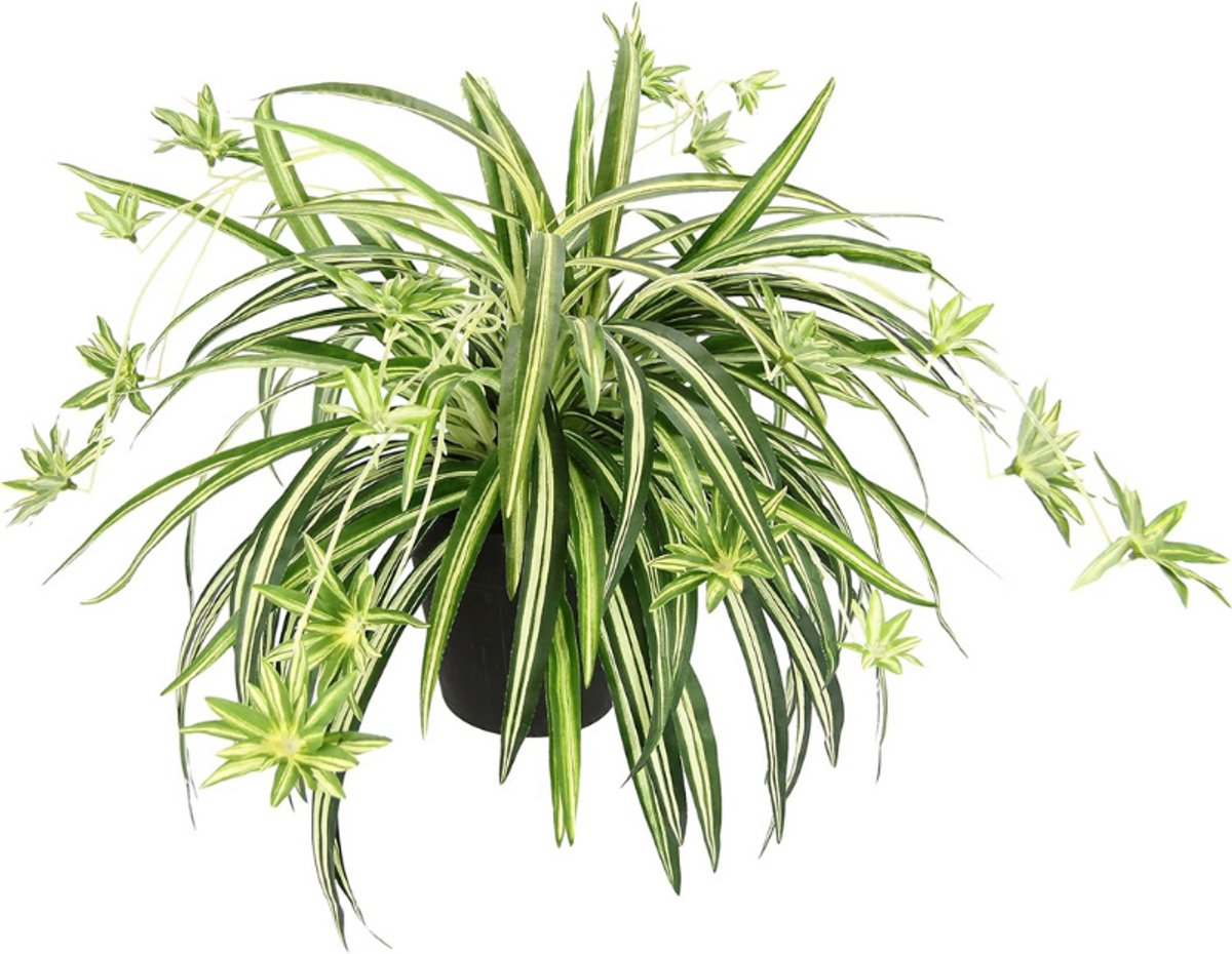 BOG Kunstmatige Groene Lelie In Pot - Realistische Spinnenplant Hangplant - Nep Chlorophytum Voor Binnendecoratie - Onderhoudsvrije Kunstplant In Pot Voor Woonkamer Kantoor Of Badkamer