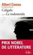 livre numérique