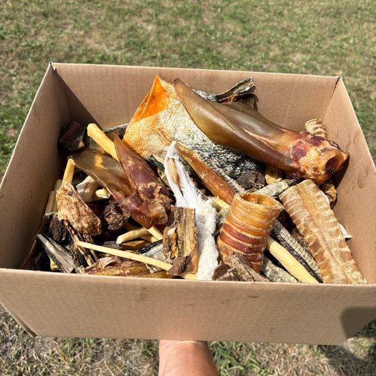 Pawty - Snackpakket Hond – 100% Natuurlijke Hondensnacks - Hypoallergeen - Gezonde Snackbox - 100+ stuks