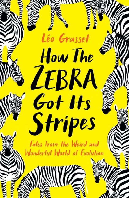 How the Zebra Got its Stripes - cover