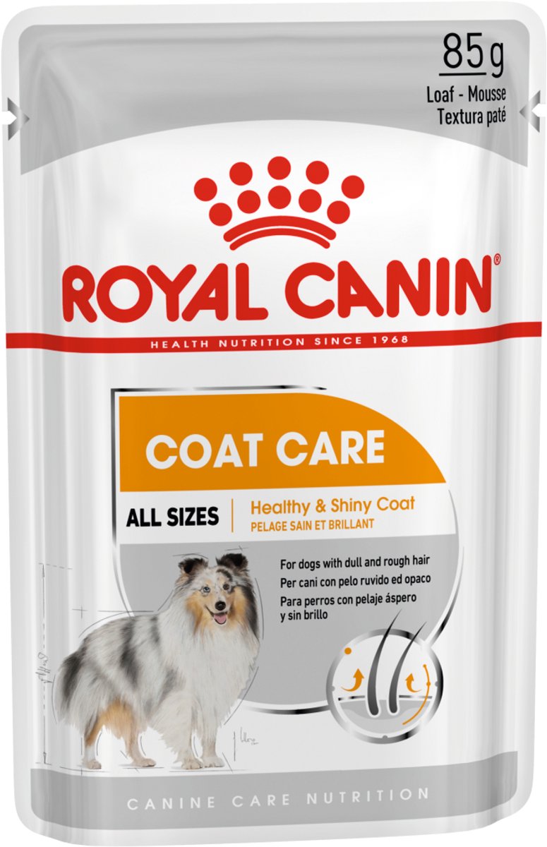 Royal Canin Coat Care natvoer hond 2 dozen (24 x 85 g)