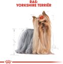 Illustratie van een Yorkshire Terriër hond met lange, zijdeachtige vacht en een rode strik op zijn hoofd.