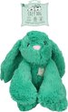 Groene konijnenknuffel met een roze neus en een label.