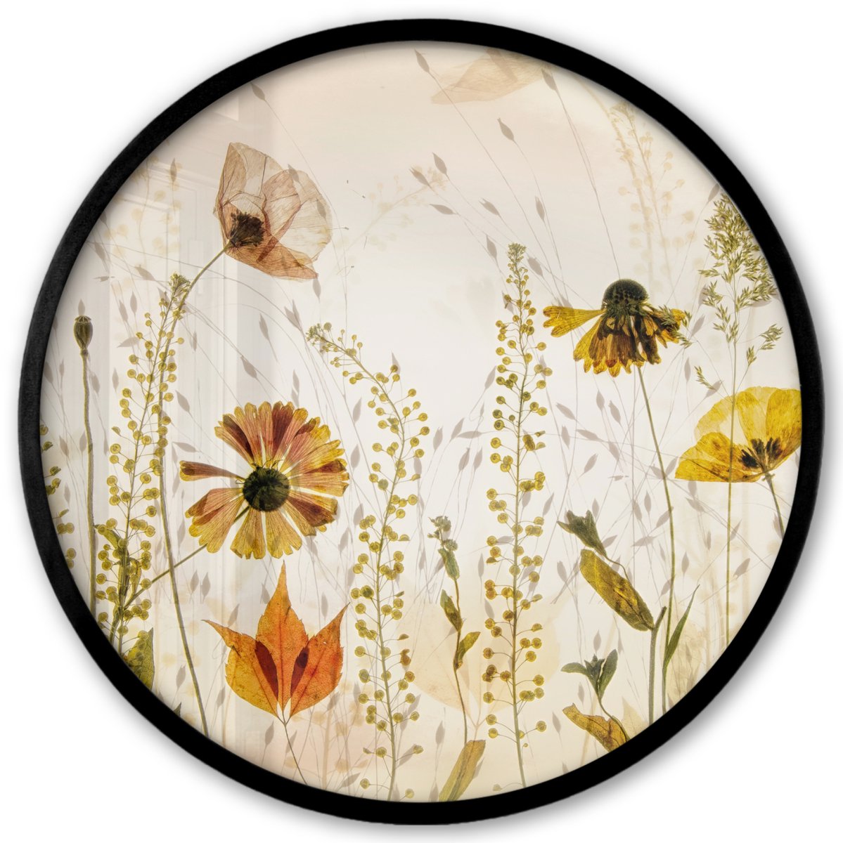FrameYourWall Poster in lijst Rond - Fotolijst 40x40 cm - Posters - Illustratie - Planten - Insecten - Beige - Ronde posterlijst zwart - Decoratie - Wanddecoratie woonkamer - Muurdecoratie slaapkamer