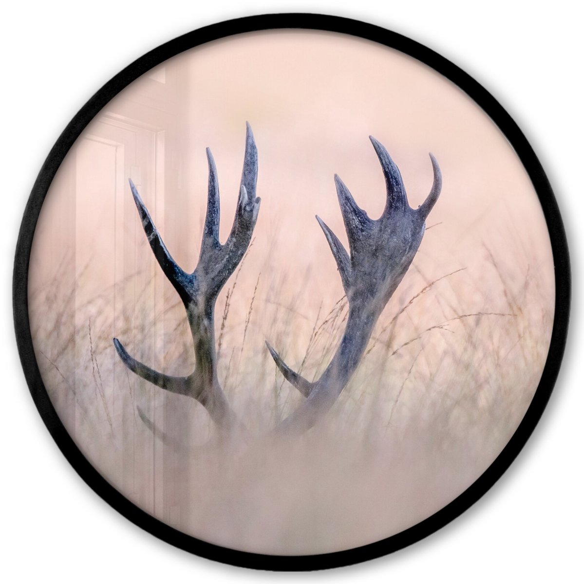 FrameYourWall Poster in lijst Rond - Fotolijst 40x40 cm - Posters - Gewei - Hert - Gras - Natuur - Ronde posterlijst zwart - Decoratie - Wanddecoratie woonkamer - Muurdecoratie slaapkamer Multicolor