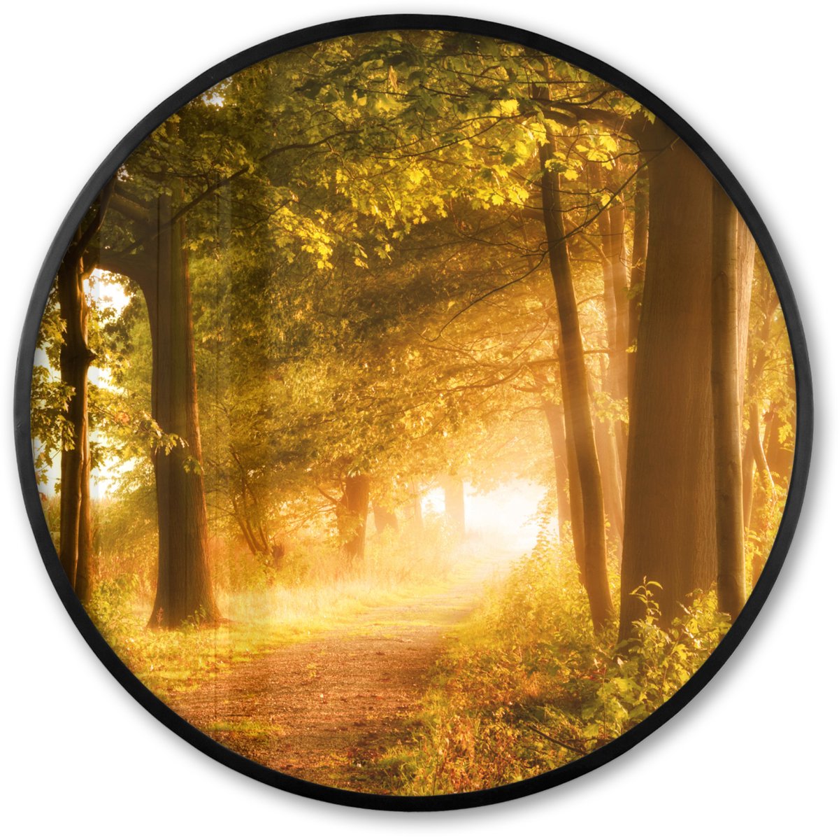 FrameYourWall Poster in lijst Rond - Fotolijst 80x80 cm - Posters - Bos - Bomen - Zonlicht - Herfst - Bospad - Natuur - Ronde posterlijst zwart - Decoratie - Wanddecoratie woonkamer - Muurdecoratie slaapkamer
