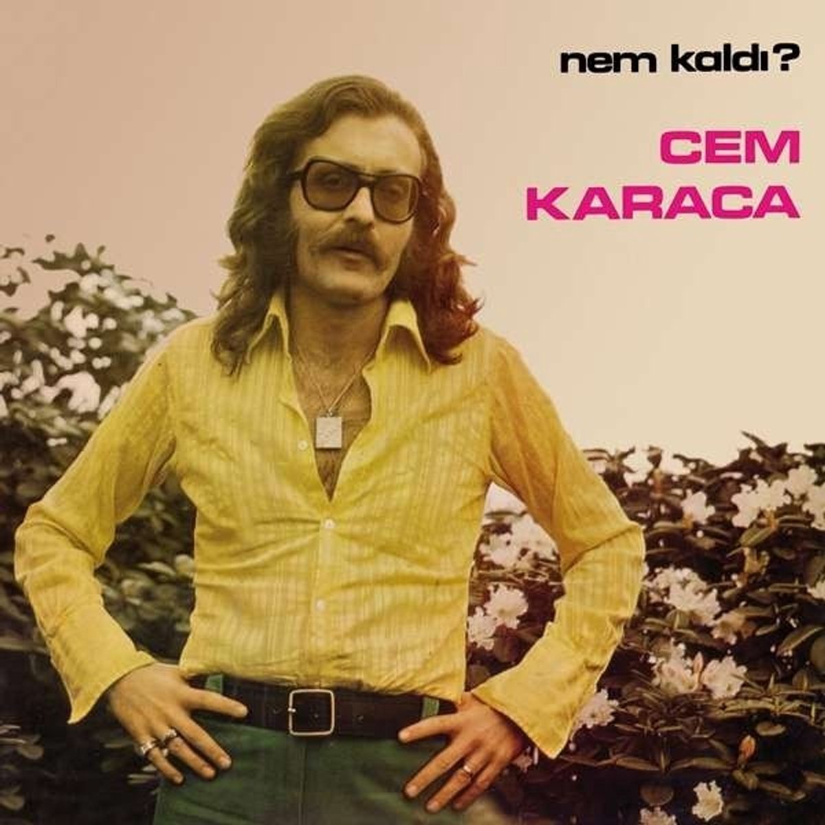Cem Karaca - Nem Kaldi? (CD)