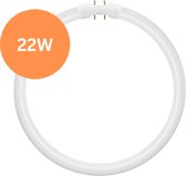 TL5 Ronde TL-buis 22W – 830 Warm Wit – 2GX13 (4-pins) Ø 23cm – Vervangt Philips/Osram