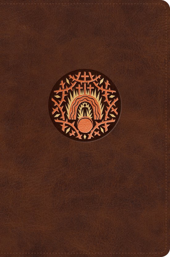 ESV The Biggest Story Holy Bible for Kids - cover