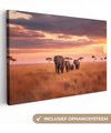 Troupeau d'éléphants - Plaine ouverte - Soleil