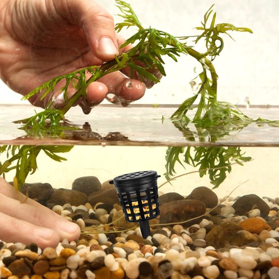 5 stuks - Meststofmand met deksel - Draagbare bemesting - Meststofmand met gaas - Voedingsbeker met deksel voor vetplanten, orchideeën, bonsai - tuinkwekerijpotten - kweekdeksels voor bonsai van Merkloos	 — afbeelding 5