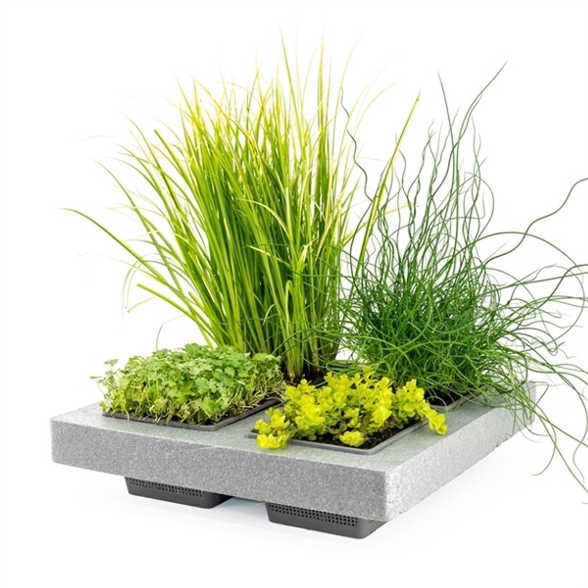 Moerings Natuurlijk Drijfring Met 4 Gaten Los