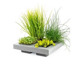 Moerings Natuurlijk Drijfring Met 4 Gaten Los