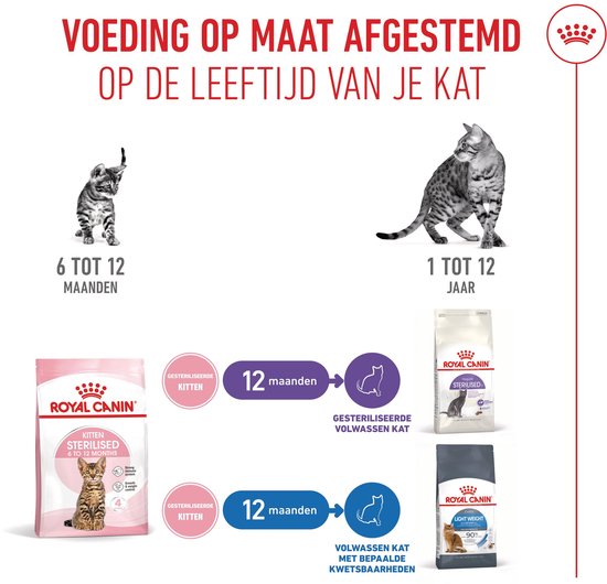 Grafiek die de voeding voor katten van 6-12 maanden en 1-12 jaar toont. Een kitten en een volwassen kat zijn afgebeeld.